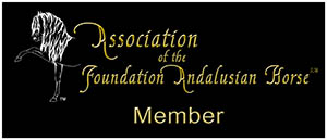 Association of the Foundation Andalusian Horse