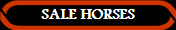 SALE HORSES